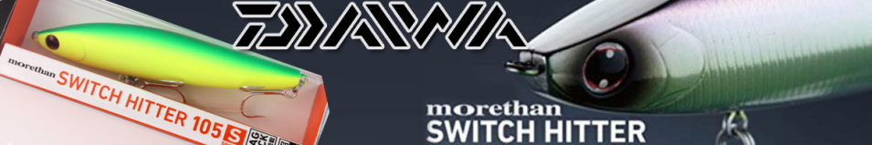 Daiwa Morethan Switch Hitter 65S