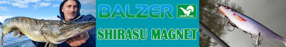 Balzer Shirasu Magnet