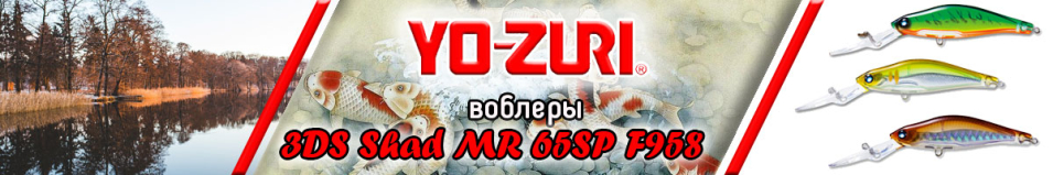 Yo-Zuri 3DS Shad MR 65SP F958