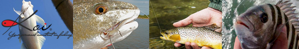 Koi Single Spoon Hook