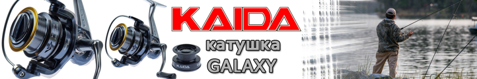 Kaida Galaxy