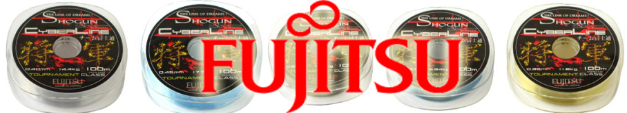 Fujitsu