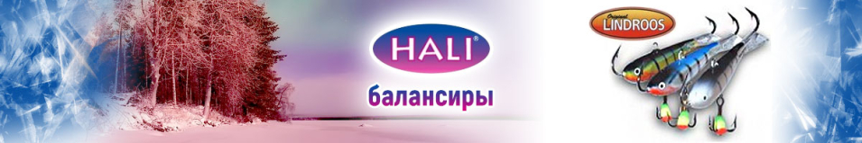 Hali Lindroos AATU 32