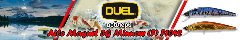 Duel Aile Magnet 3G Minnow (F) F1042