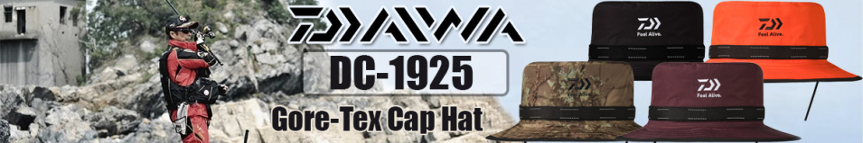 Daiwa DC-1925 Gore-Tex Cap Hat [Real Lake]