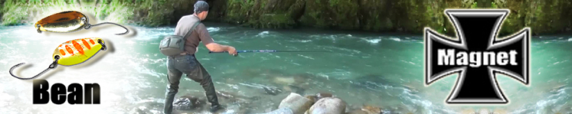 Magnet Bean 2.3 g