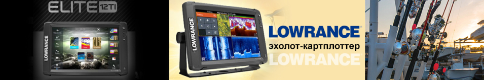 Lowrance Elite-12Ti TotalScan Transducer