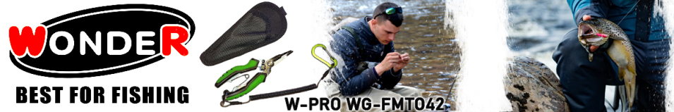 Wonder W-PRO WG-FMTO42