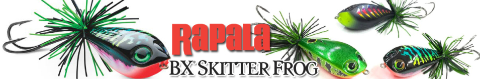 Rapala BX Skitter Frog 05