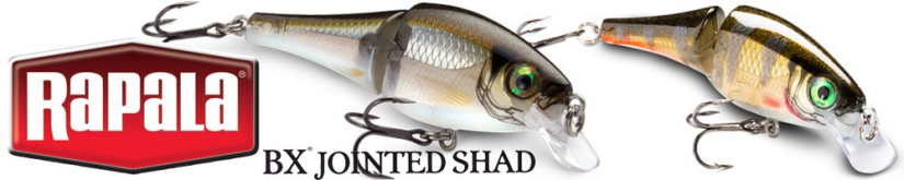 Rapala BX Jointed Shad