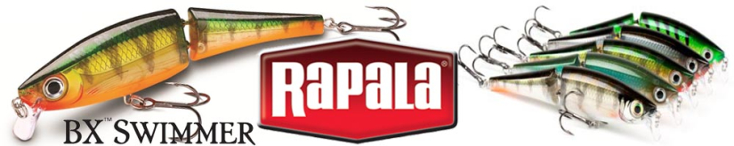 Rapala BX Swimmer