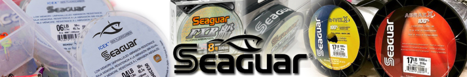 Seaguar FXR Fune 100м