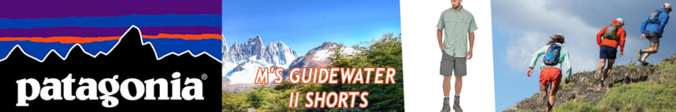 Patagonia M's Guidewater II Shorts, FGE