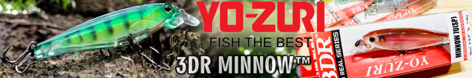 Yo-Zuri 3DR Minnow (SP) 100mm R1309