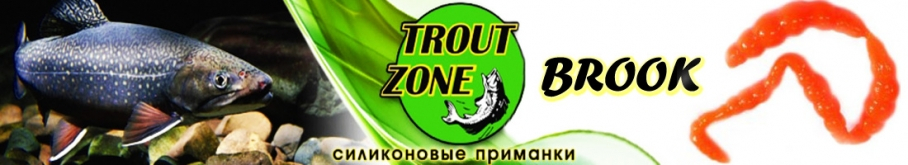 Trout Zone Brook 1,3