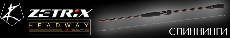 Zetrix Headway