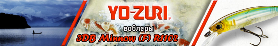 Yo-Zuri 3DB Minnow (F) R1102 