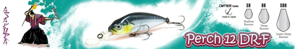 Asakura Perch 12 DR-F
