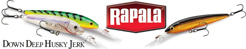 Rapala Down Deep Husky Jerk DHJ10