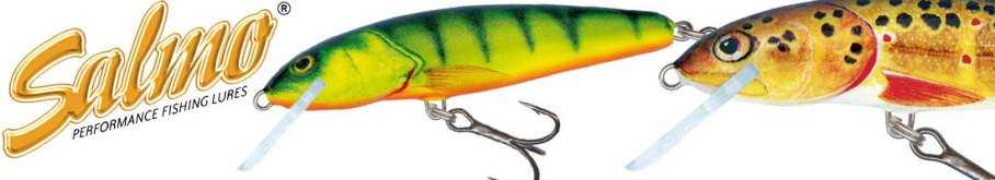 Salmo Minnow 70F