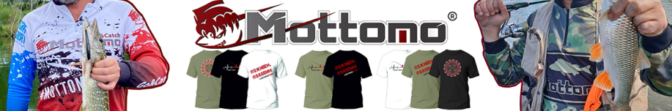 Mottomo