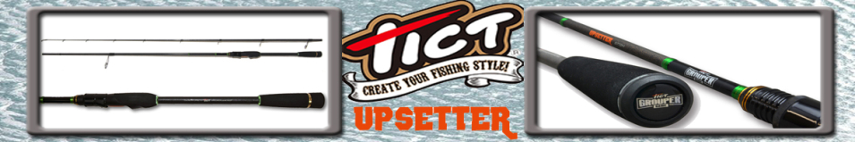 Tict Grouper Game Upsetter