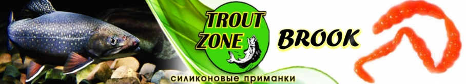 Trout Zone Brook 1,6