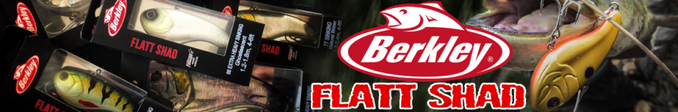 Berkley Flatt Shad 9,6cm