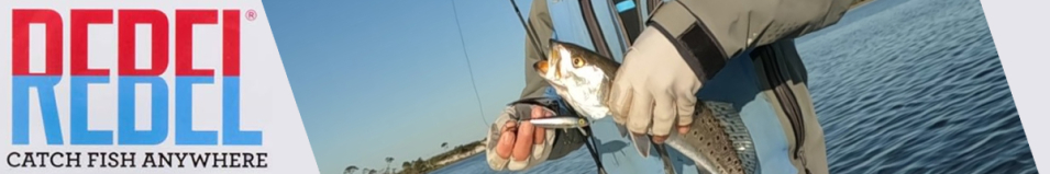 Rebel TD10 Tracdown Minnow