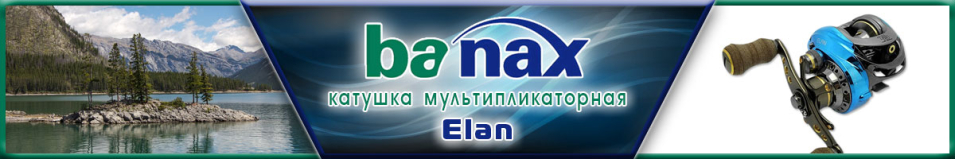 Banax Elan 