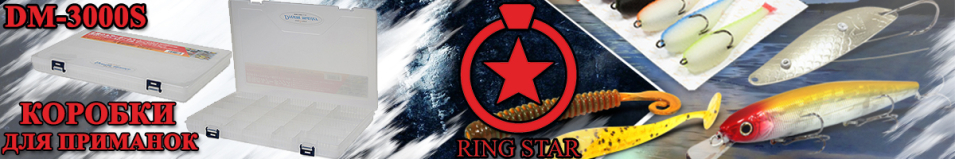 Ring Star DM-3000S