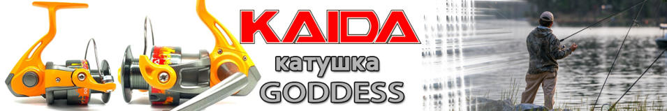 Kaida Goddess G004