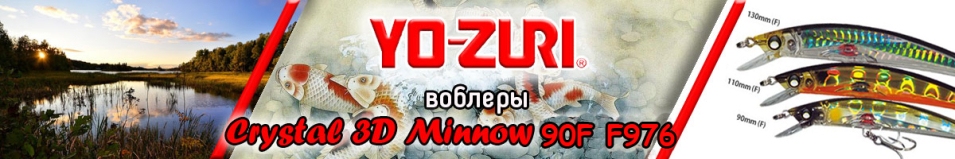 Yo-Zuri Crystal 3D Minnow 90F F976 