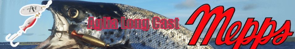 Mepps Aglia Long Cast №3