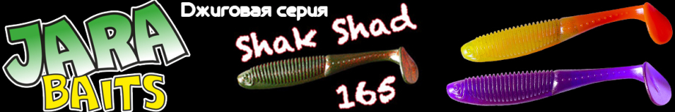 Jara Baits Shak Shad 165 (Мидия)