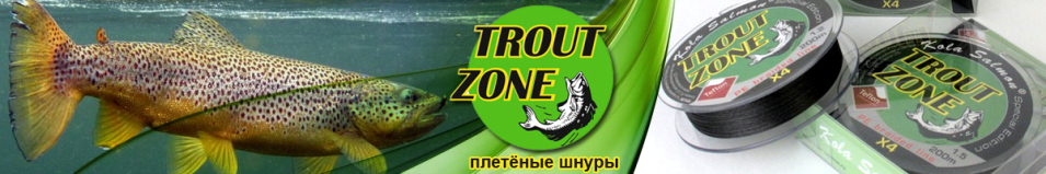 Trout Zone Edition/Hybrid 4x PE 200m Grey