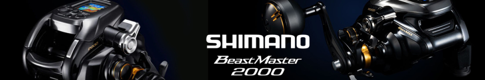 Shimano 22 BeastMaster
