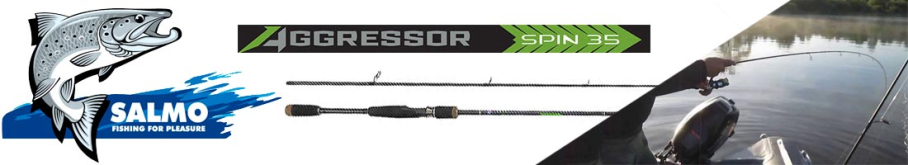 Salmo Aggressor Spin 35