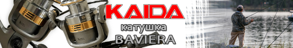 Kaida Baviera