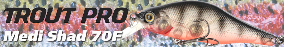 Trout Pro Medi Shad 70F