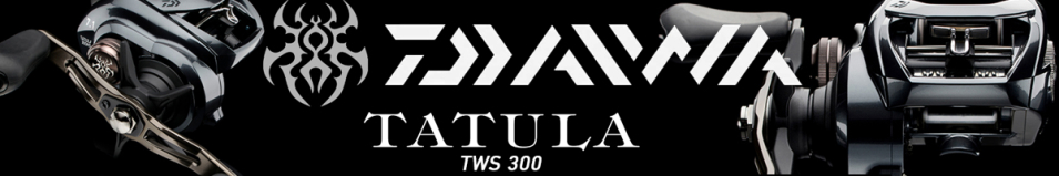 Daiwa Tatula TW 300