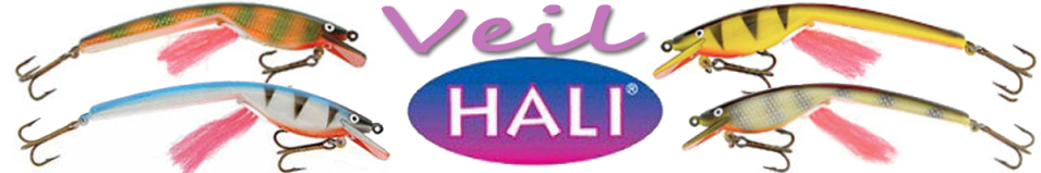 Hali Veil