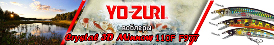 Yo-Zuri Crystal 3D Minnow 110F F977