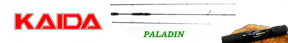 Kaida Paladin