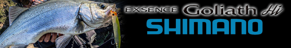 Shimano Exsense Goliath Hi 145F - XL-L14S 145mm 25gr.