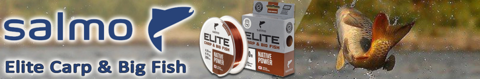 Salmo Elite Carp & Big Fish 200m