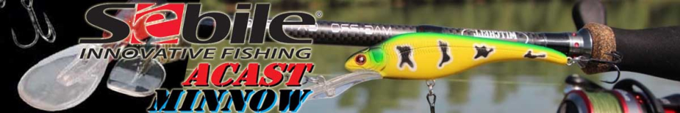 Sebile Acast Minnow Medium Lip 95мм 10,1гр.