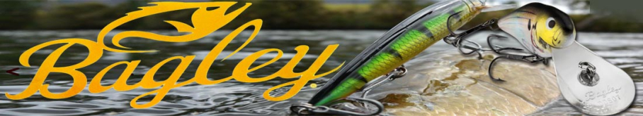 Bagley Deep Diving Shad 10