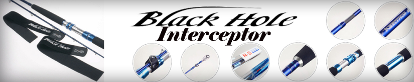 Black Holе Interceptor