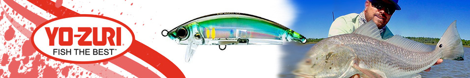 Yo-Zuri 3D Inshore Surface Minnow R1214